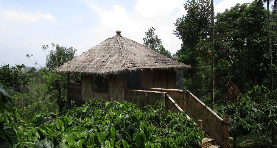 Greenex Farms, Wayanad 1